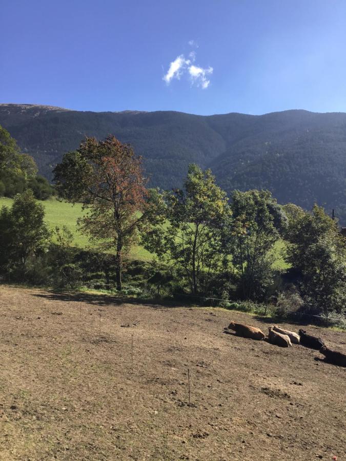 Penzion Cal Ramundaina Queralbs Exteriér fotografie