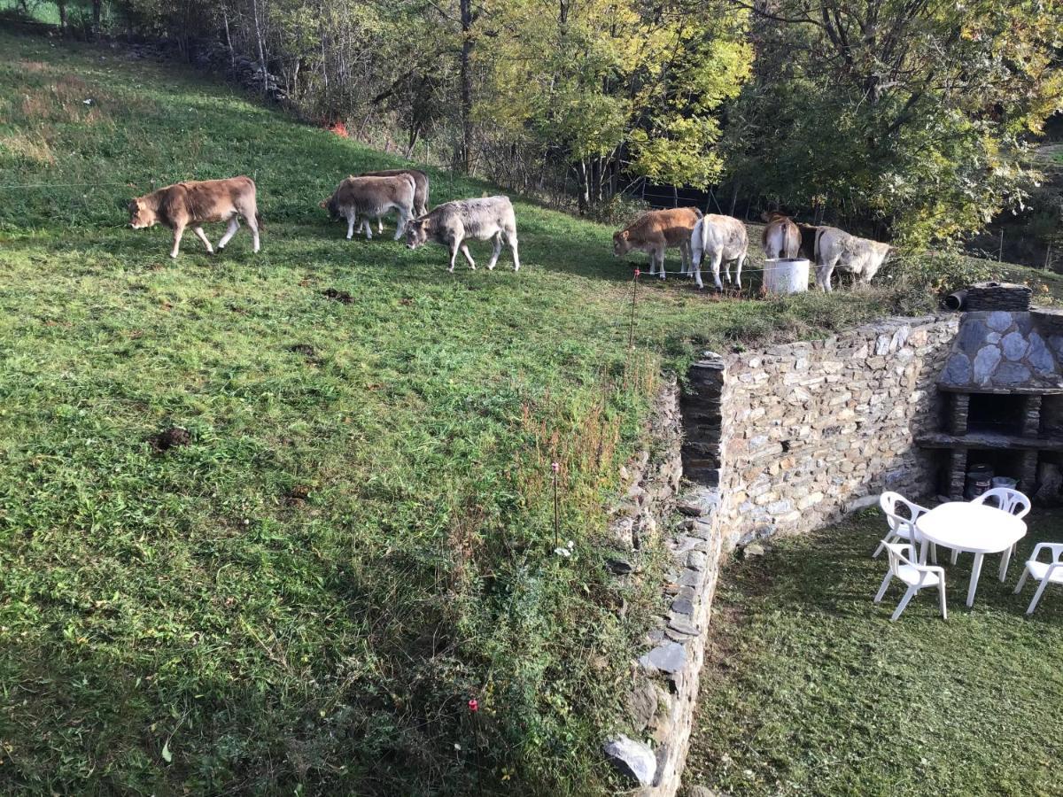Penzion Cal Ramundaina Queralbs Exteriér fotografie